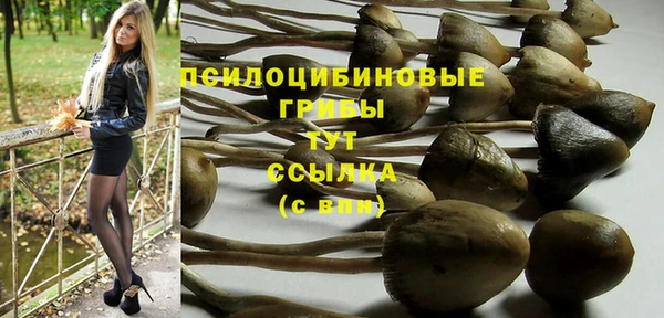 прущая мука Арсеньев