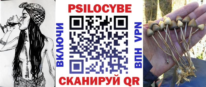 darknet какой сайт  купить наркоту  Малая Вишера  Псилоцибиновые грибы мухоморы  МЕГА зеркало 