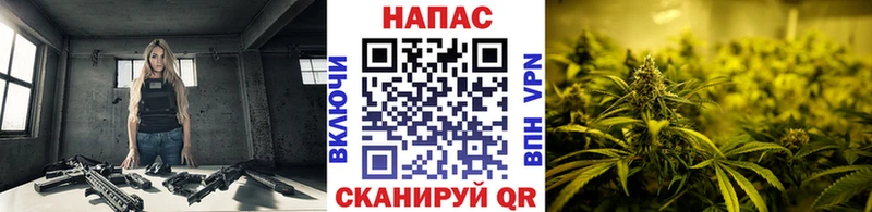 Шишки марихуана Amnesia Малая Вишера